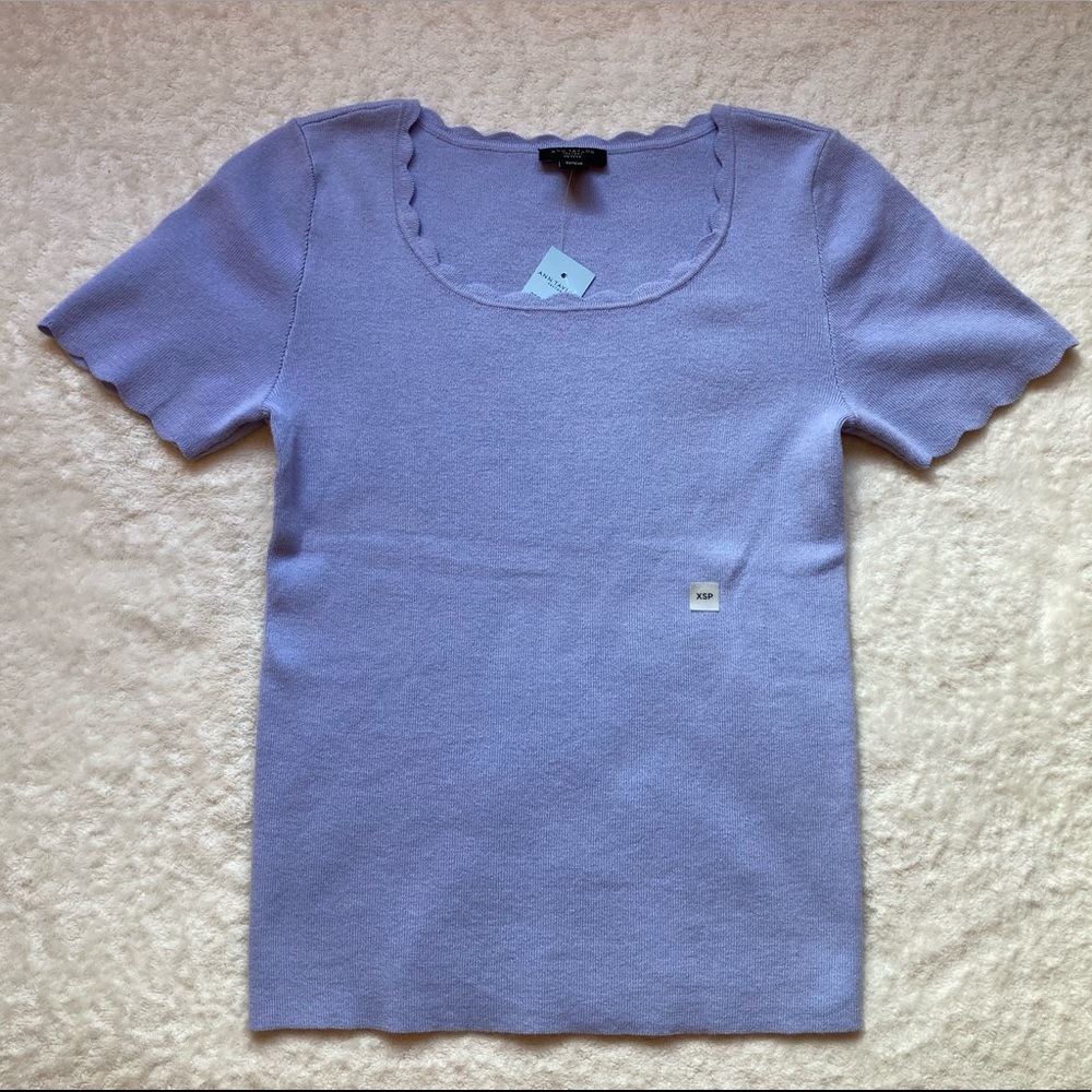 Ann Taylor Light Blue Scalloped Tee Knit